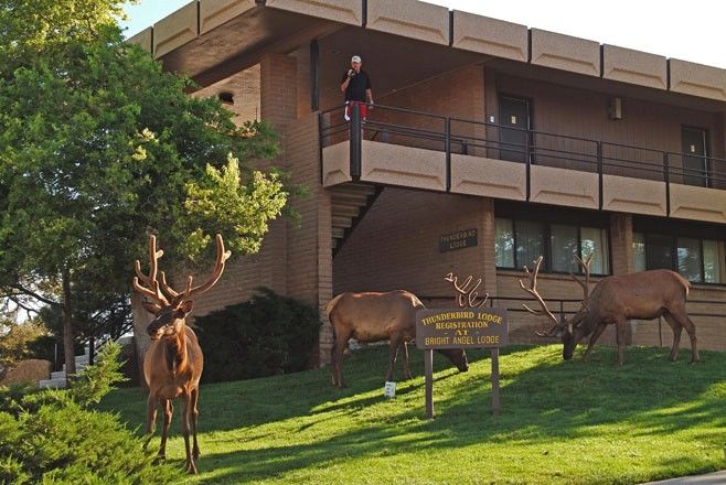 Kachina Lodge Grand Canyon Exterior foto